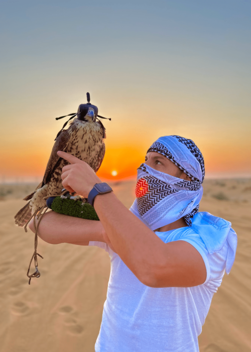 Captura-de-Tela-2024-08-13-as-17.07.42-min-qsk45p9zeogomz4jczmuj2p83pk6p243f40cekqz4o (1)